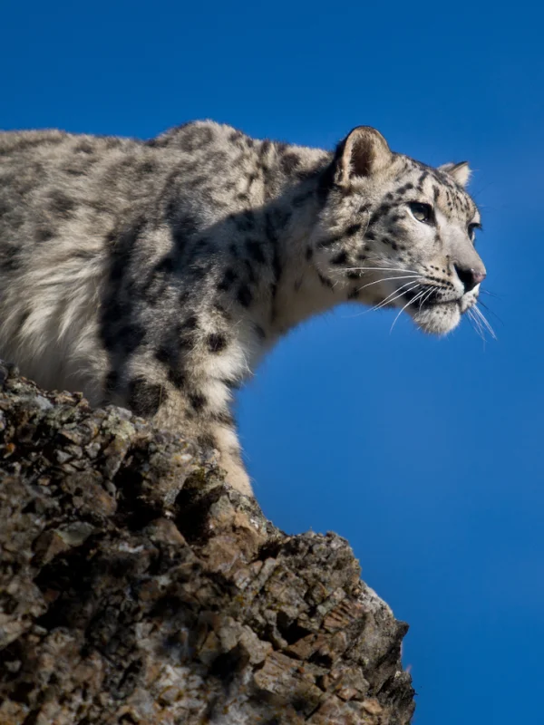 Sanjiangyuan National Park