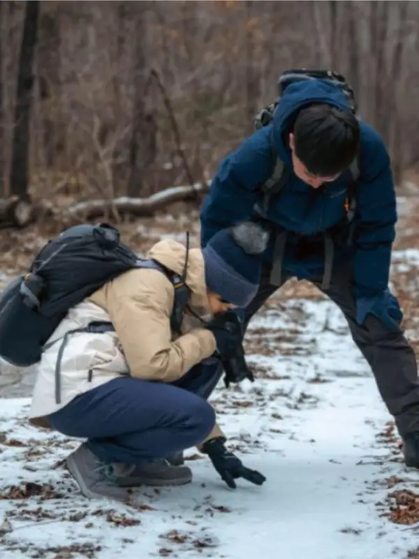 Northeast China Tiger and Leopard National Park - Hunchun & Hengdaohezi