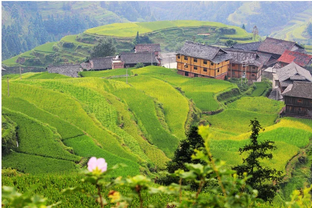 Southern Guizhou  Adventure