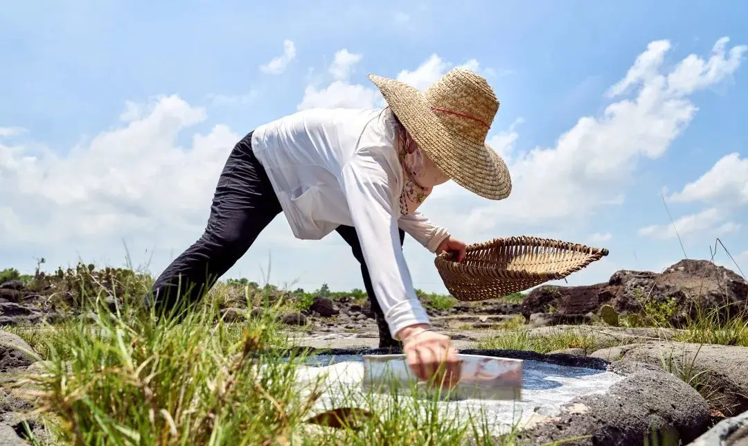 Hai Nan Tropical Rainforest National Park丨Let the Gibbon Thrive