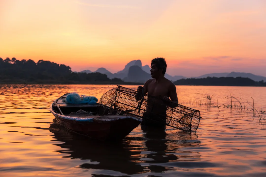Hai Nan Tropical Rainforest National Park丨Let the Gibbon Thrive