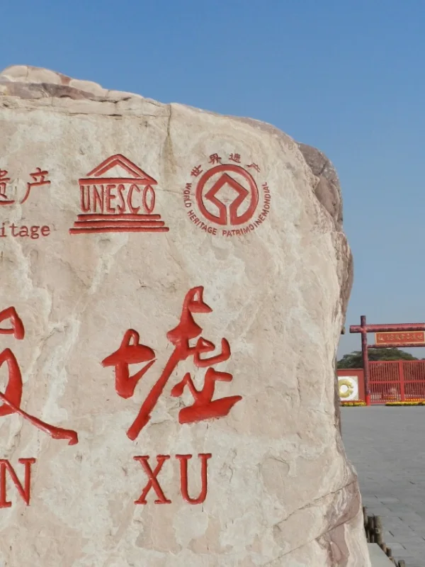 Visit the Ancient Capital of Yinxu and Find the Chinese Cedar