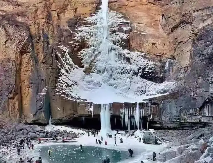 Visit the Ancient Capital of Yinxu and Find the Chinese Cedar