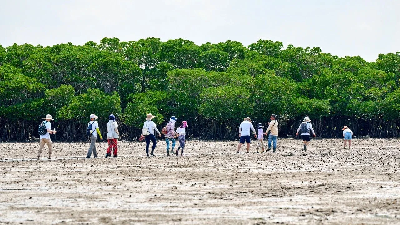 Hai Nan Tropical Rainforest National Park丨Let the Gibbon Thrive