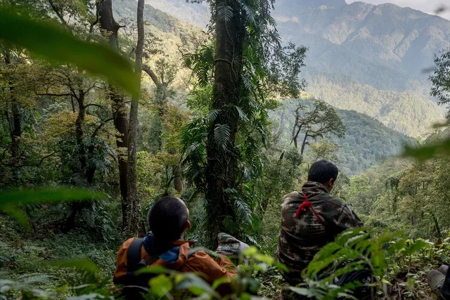 A7 Gaoligong -Skywalker Hoolock Gibbon