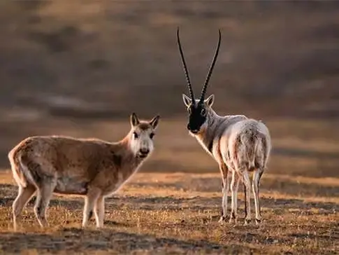 Three-River-Source National Park丨Three-River-Source grand tour
