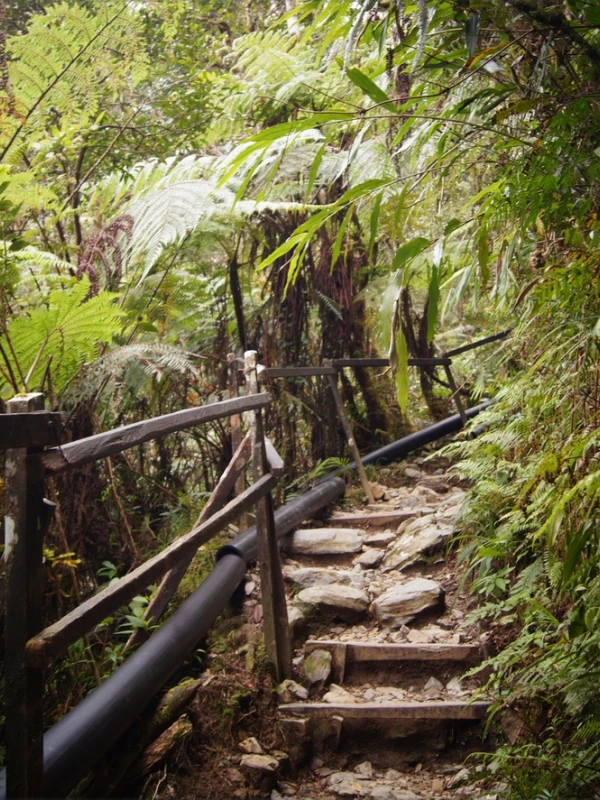 Malaysia Natural Museum Worldwide National Park Series Route