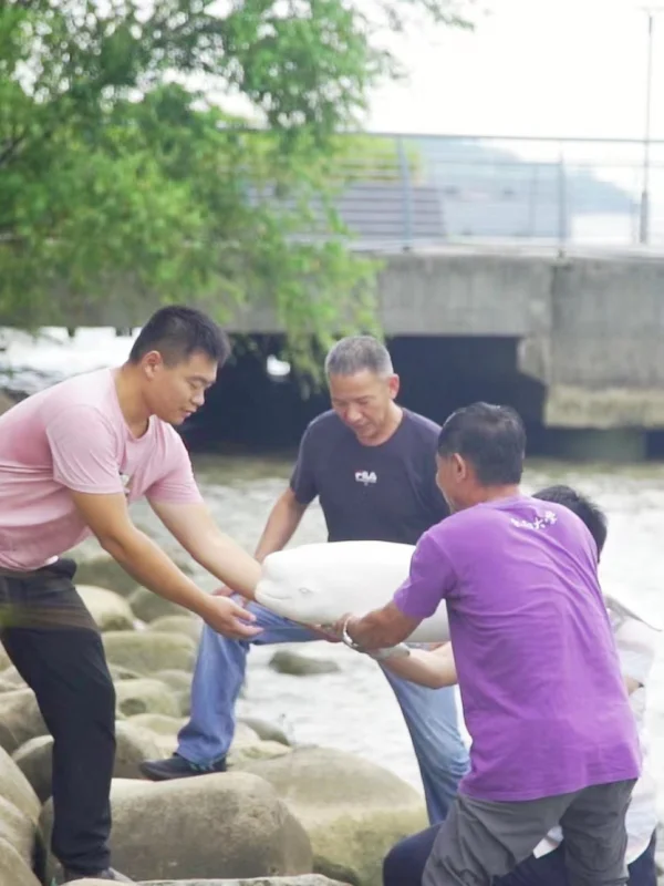 Half-Day Experience: Guarding the "Smiling Elves"