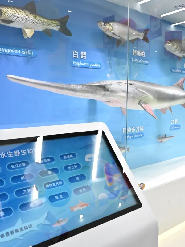 Half-Day Experience: Guarding the "Smiling Elves"