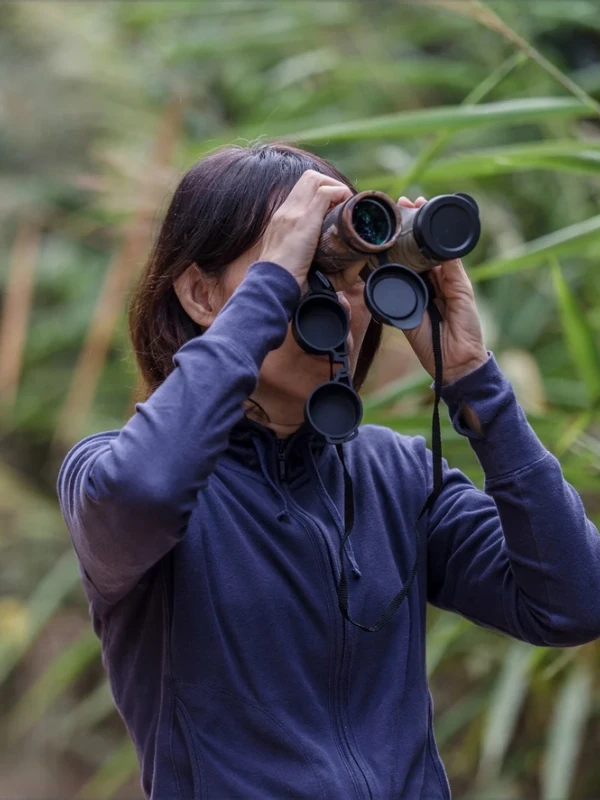 Birdwatching in the Kinabalu Rainforest