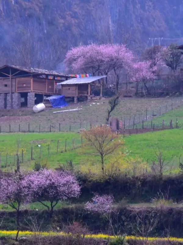 [COPIED] E4 Yunnan River Nu Elite Adventure B