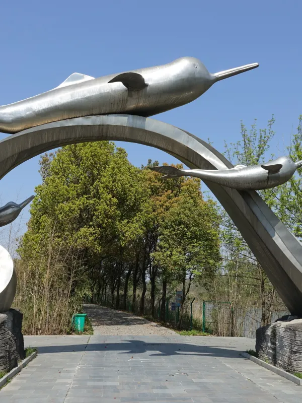 Immersive Conservation Experience: Observing the Yangtze Finless Porpoise in the Wild