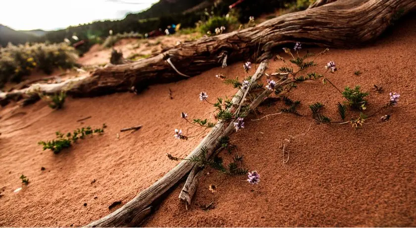 Nangqian Rafting & Safari